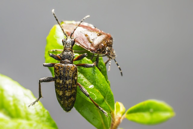 Foto do arquivo: fornecida por 【modo mais fácil de ganhar na lotofácil】