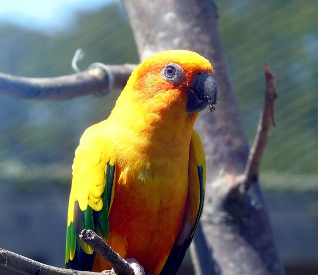 sonhar com casa nova jogo do bicho