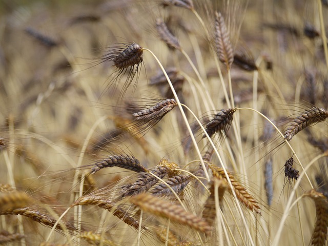 Foto do arquivo: fornecida por 【Resultado do concurso de Lotofácil atual】