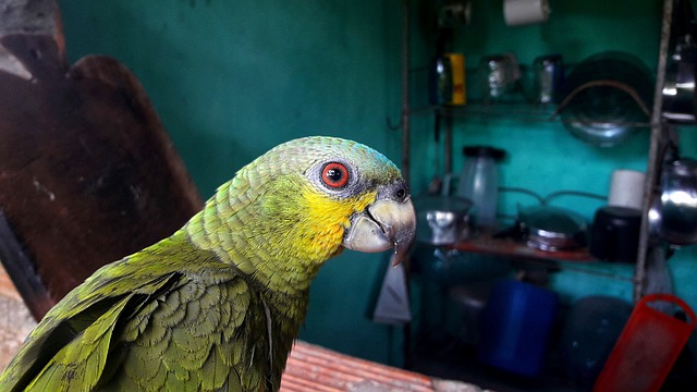 Foto do arquivo: fornecida por 【palpite para jogo da mega sena de hoje】