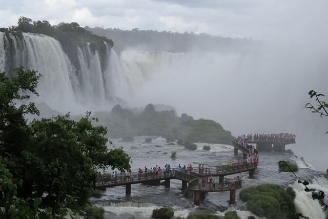 Foto do arquivo: fornecida por 【jogo do orion sandbox】