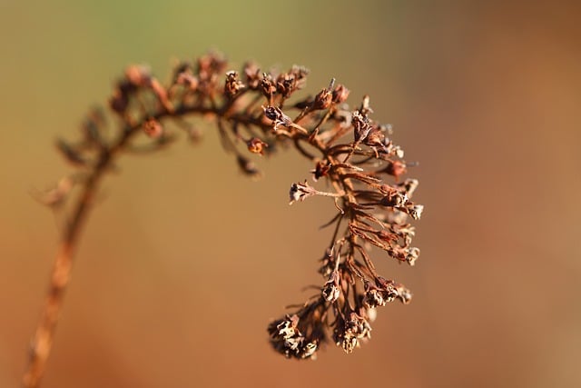 Foto do arquivo: fornecida por 【bookie77】