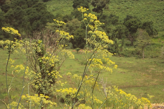 Foto do arquivo: fornecida por 【tricast bet365】