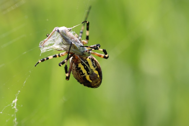 Foto do arquivo: fornecida por 【resultado de ontem da loteria dos sonhos】