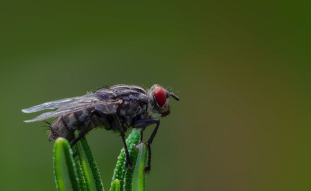 Foto do arquivo: fornecida por 【acertando 13 pontos na lotofácil ganha quanto】