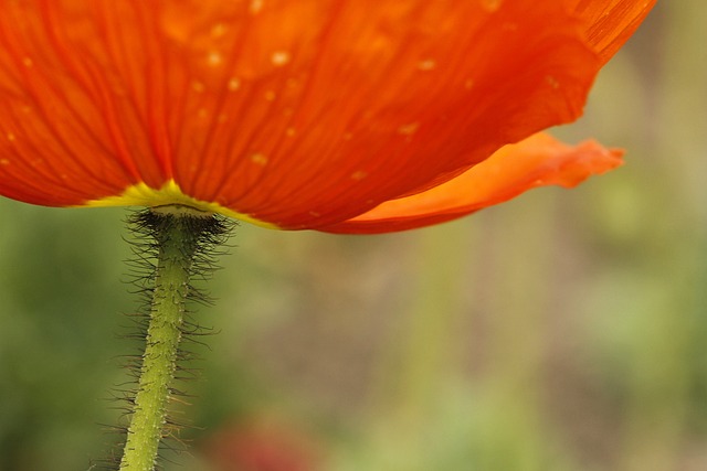 Foto do arquivo: fornecida por 【Resultado da Lotofácil sorteado hoje】