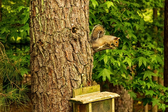 Foto do arquivo: fornecida por 【loterias caixa lotomanía resultado de hoje】