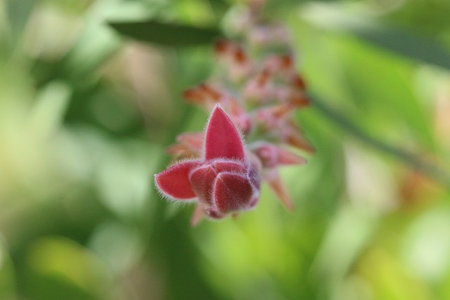 pousada da barra cassino