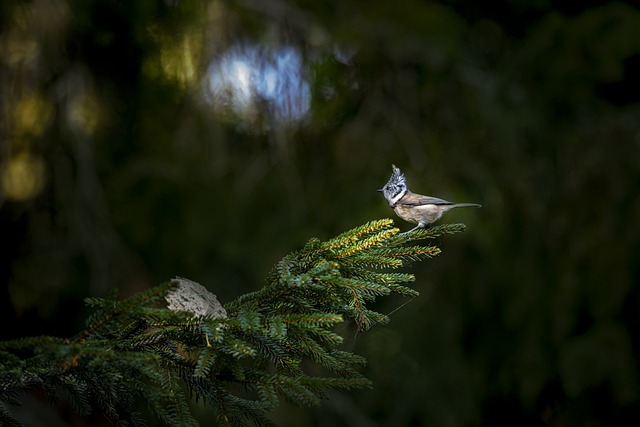 Foto do arquivo: fornecida por 【Plataforma que dá saldo de boas-vindas sem depósito】