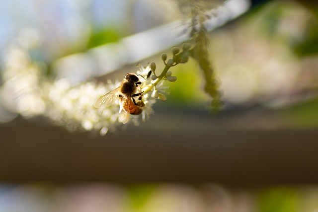 Foto do arquivo: fornecida por 【como é que se joga lotofácil】