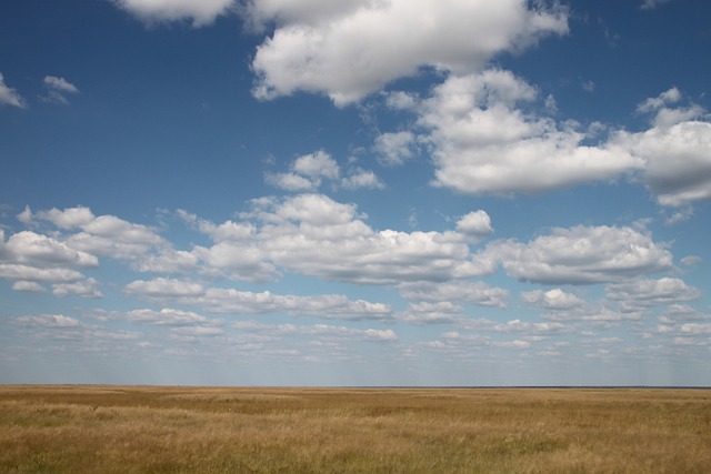 Foto do arquivo: fornecida por 【resultado da mega sena 2107】