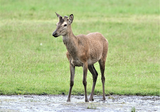 Foto do arquivo: fornecida por 【resultado deunoposte ojogodobicho】