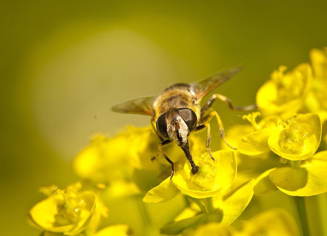 Foto do arquivo: fornecida por 【blog bet365】