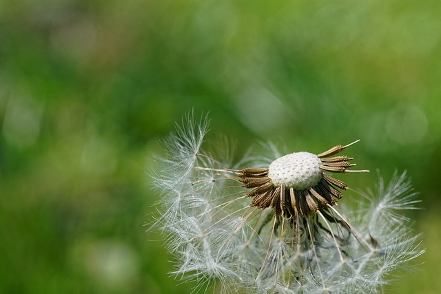 Foto do arquivo: fornecida por 【vencer bet】