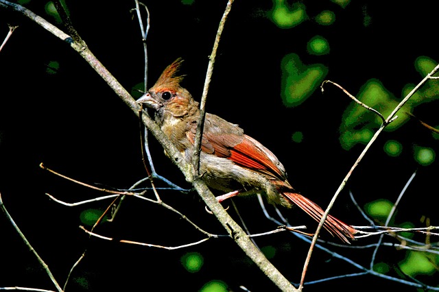 Foto do arquivo: fornecida por 【casumo bonuskode】