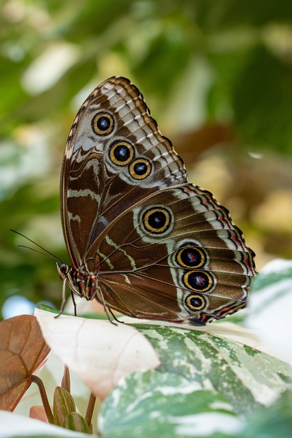 Foto do arquivo: fornecida por 【resultado da mega sena 1654】