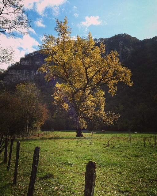 Foto do arquivo: fornecida por 【como cancelar um pix errado】