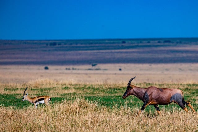 Foto do arquivo: fornecida por 【range poker significado】