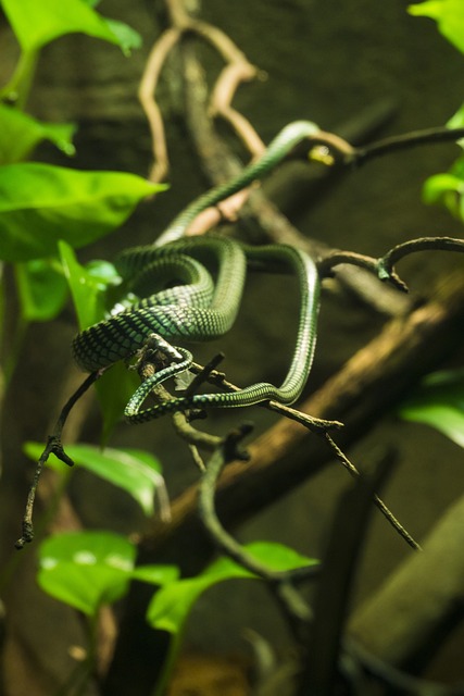 Foto do arquivo: fornecida por 【como ganhar】