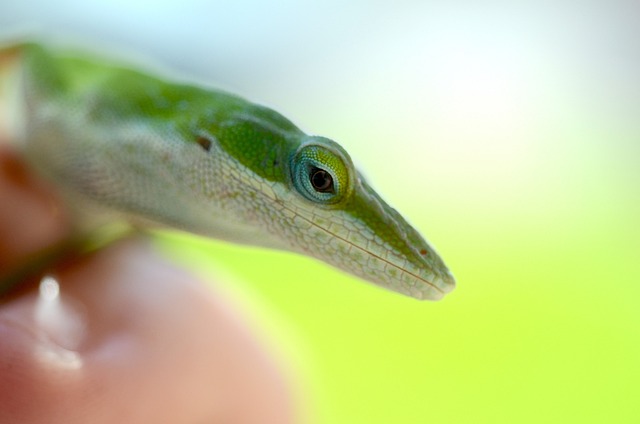 Foto do arquivo: fornecida por 【Ferramenta de alto rendimento que compensa hoje】