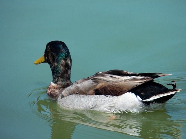 Foto do arquivo: fornecida por 【uzzo toalhas】