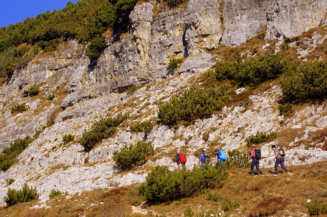 Foto do arquivo: fornecida por 【pegue e monte simples】