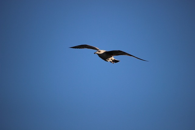 Foto do arquivo: fornecida por 【Resultado do bicho hoje à noite】