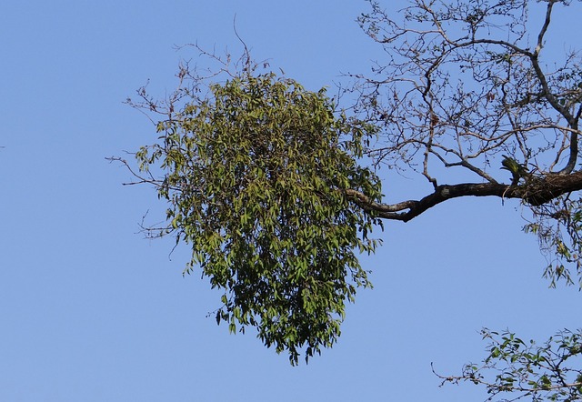 como sacar o dinheiro do tigrinho_ para minha conta