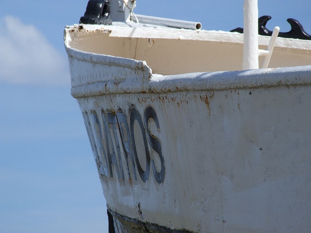 jogos de pesca de verdade