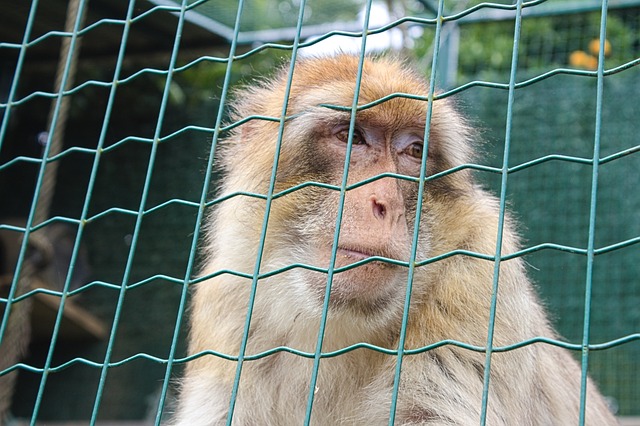 Foto do arquivo: fornecida por 【ganhadores de ontem da lotofácil】