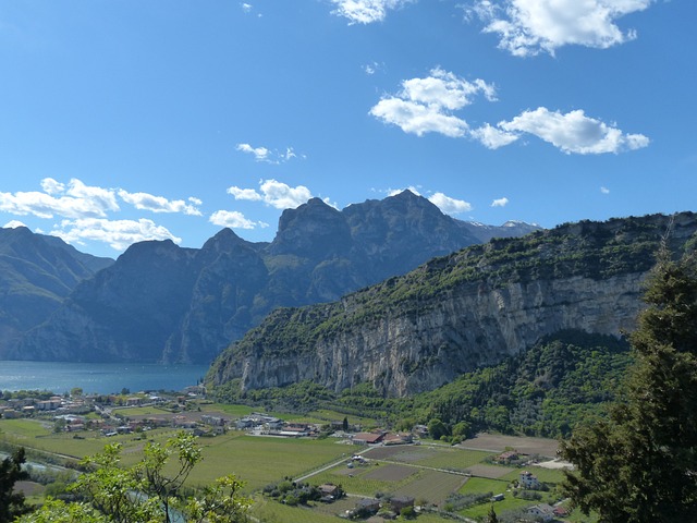 plataforma de cassino