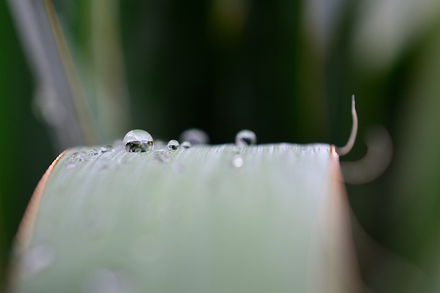 Foto do arquivo: fornecida por 【que significa handicap】