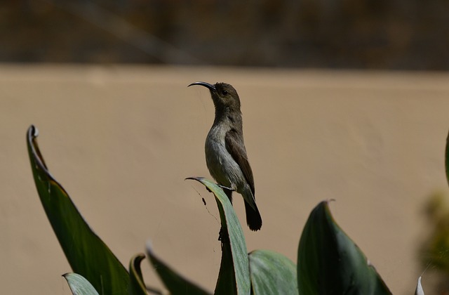 Foto do arquivo: fornecida por 【lotofácil concurso 1893 resultado】