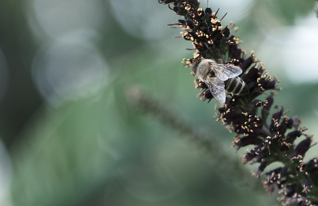 Foto do arquivo: fornecida por 【palpite certo】