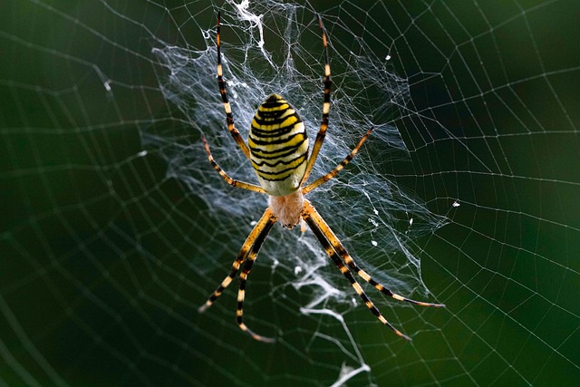 caixa economica megasena