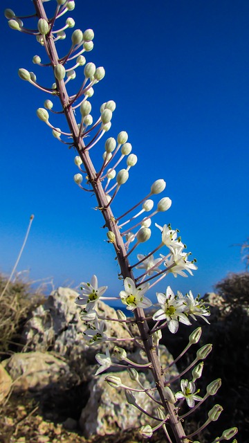 floricultura cassino rio grande rs