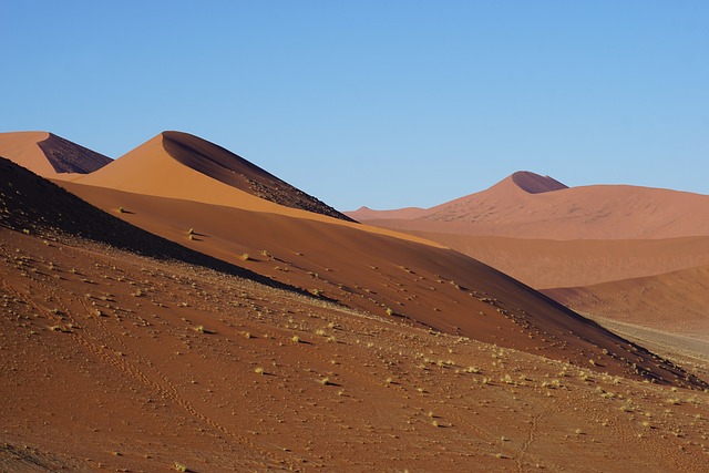 brasil hoje jogo