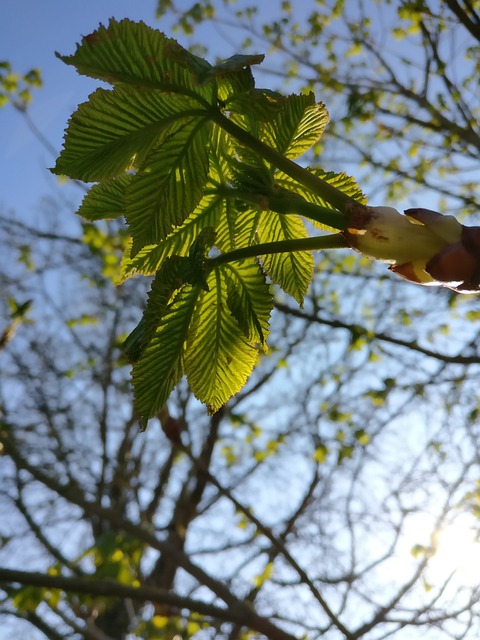 Foto do arquivo: fornecida por 【número sorteado da】