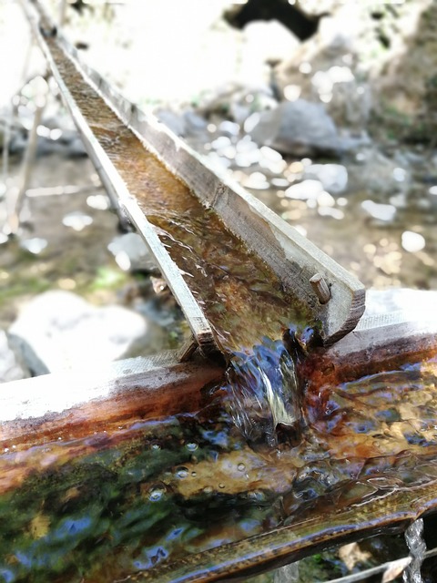 borboleta flor moedor molhado 2 litros preço