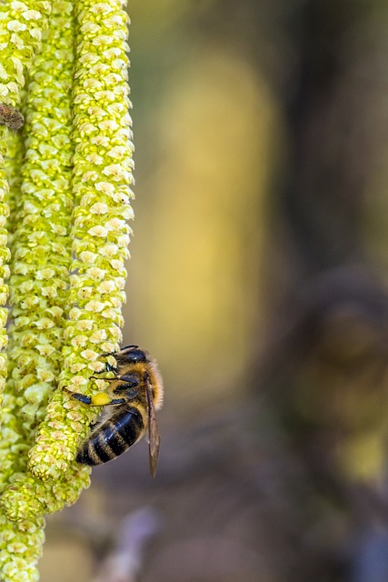 Foto do arquivo: fornecida por 【resultado loteria federal 11 11】