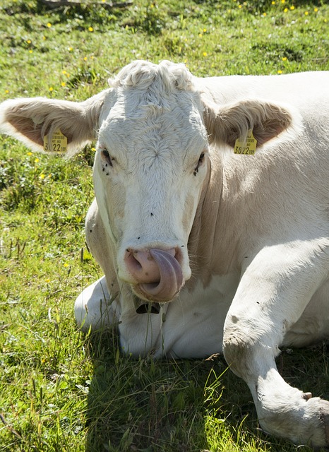 Foto do arquivo: fornecida por 【kto app】