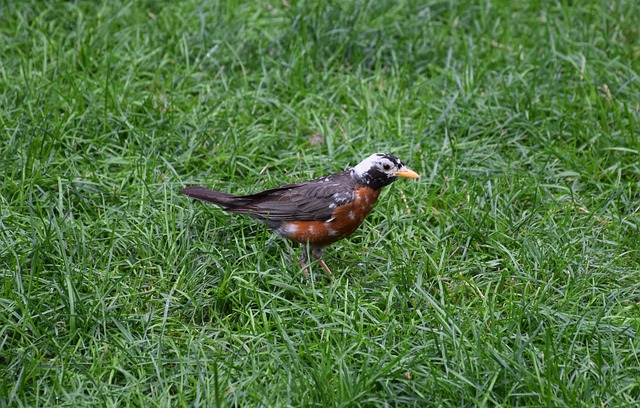 Foto do arquivo: fornecida por 【parimatch casino】