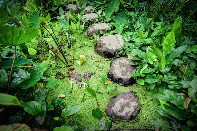 Foto do arquivo: fornecida por 【cassino com bônus de cadastro sem depósito】