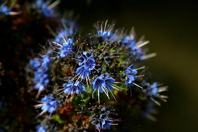 Foto do arquivo: fornecida por 【fibonacci roulette】