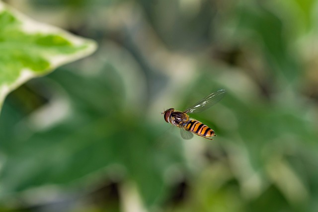 Foto do arquivo: fornecida por 【Como garantir $100 reais no pix hoje mesmo】