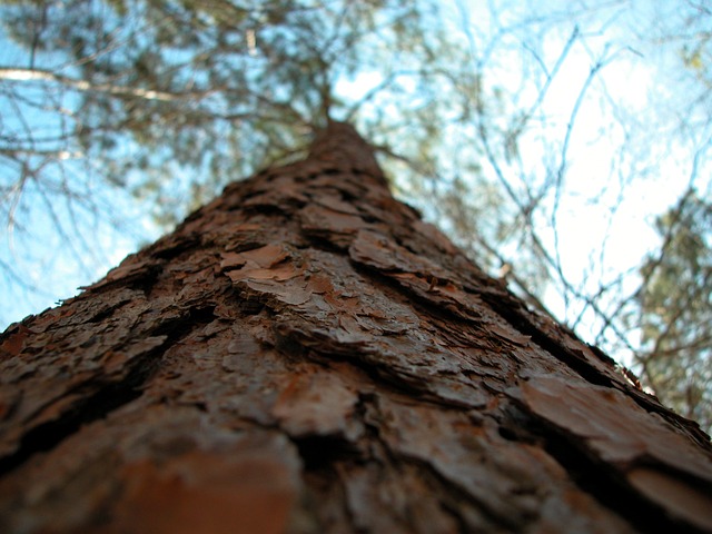 Foto do arquivo: fornecida por 【teste do tigrinho grátis】