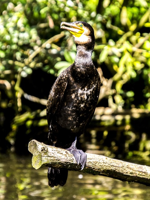 Foto do arquivo: fornecida por 【resultado da lotofácil de hoje no giga sena】