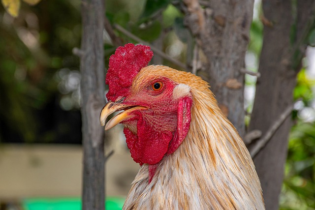 Foto do arquivo: fornecida por 【resultado do concurso 1925 da mega sena】