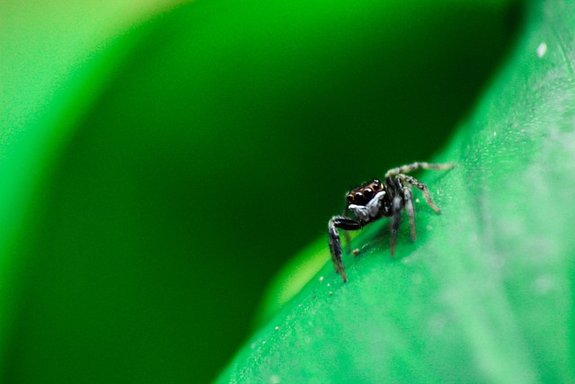 Foto do arquivo: fornecida por 【vivo loteria】