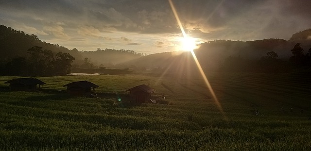 Plataforma que oferece saldo para cadastro novo